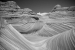 Paria Canyon - Coyote Buttes 'the wave' - Arizona - United States of America